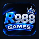 R988 Game