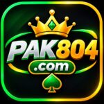 PAK 804 Game