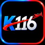 K116 Game